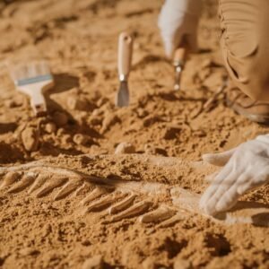 ARQUEOLOGIA E PATRIMÔNIO