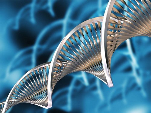 ENSINO DE BRAILE E LIBRAS